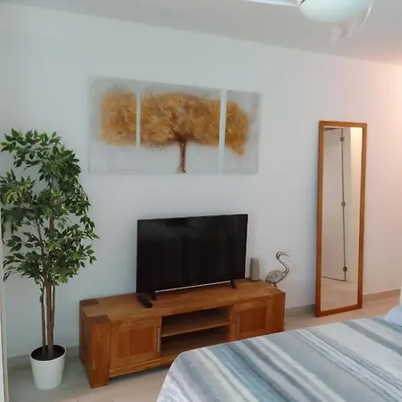House Maria Ps2 Apartment Playa de las Americas (Tenerife)